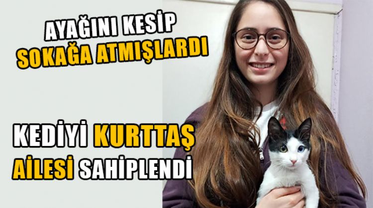 MERSİN’DE AYAĞI KESİLEN KEDİYİ SAHİPLENDİLER