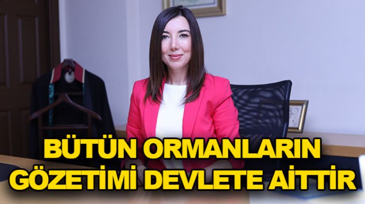 "ORMAN YAKMA SUÇUNUN AFFI YOKTUR"
