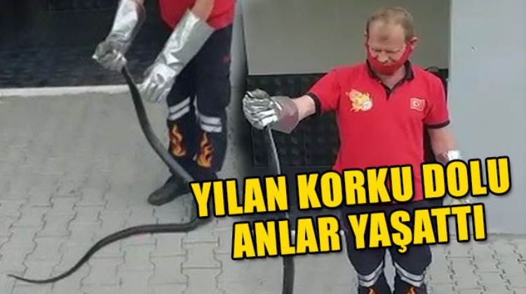 KARAYILAN KİMSEYE ZARAR VERMEDEN YAKALANDI