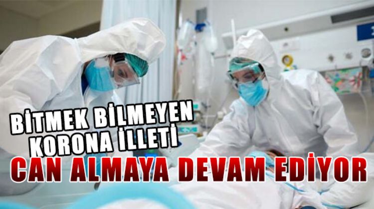 KORONAVİRÜS VAKA SAYISI