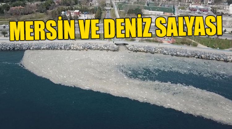 MERSİN DENİZ SALYASI