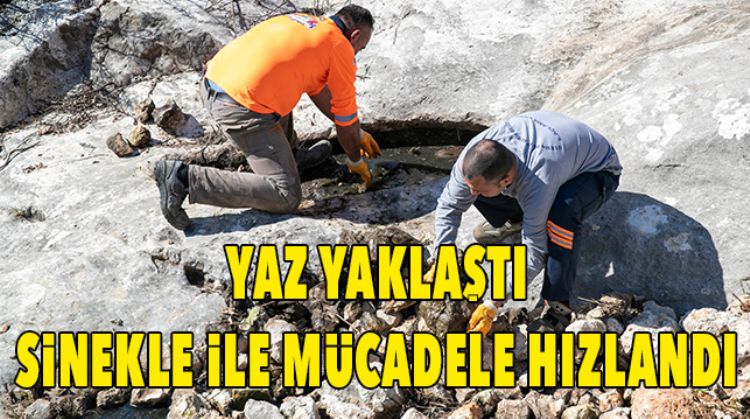 SİNEK VE HAŞERE MÜCADELESİ YAZIN YAKLAŞMASIYA HIZLANDI