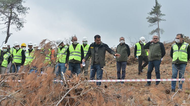 MERSİN’DE SİLVİKÜLTÜR TATBİKATLARI YAPILDI