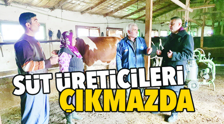 SÜT ÜRETİCİLERİ ÇIKMAZDA
