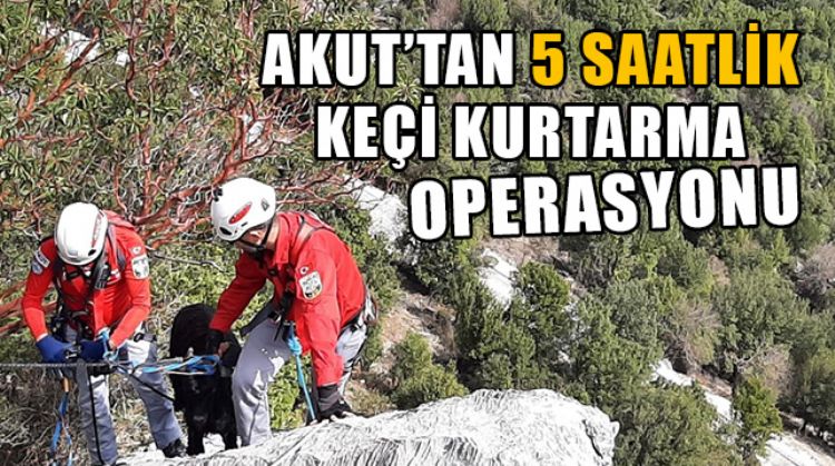 MERSİN AKUT EKİBİ 30 METRE YÜKSEKLİKTE MAHSUR KALAN KEÇİYİ KURTARDI