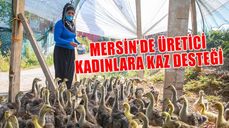 KAZ DESTEĞİ PROJESİ