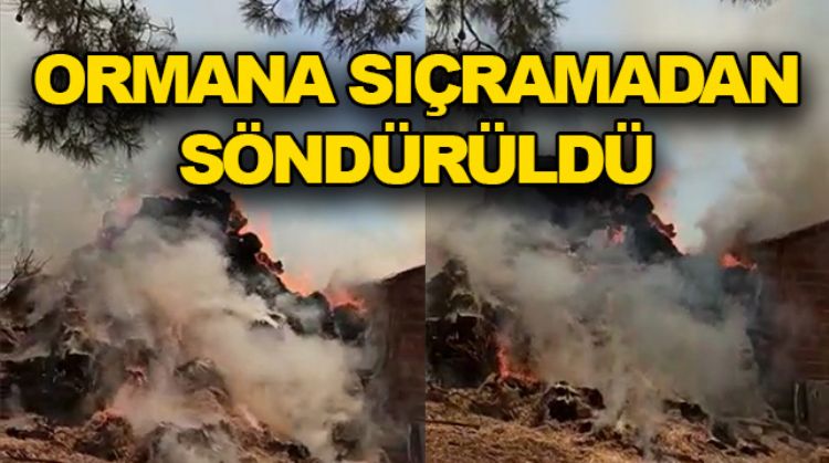 TARSUS’TA SAMAN DOLU AHIRDA YANGIN