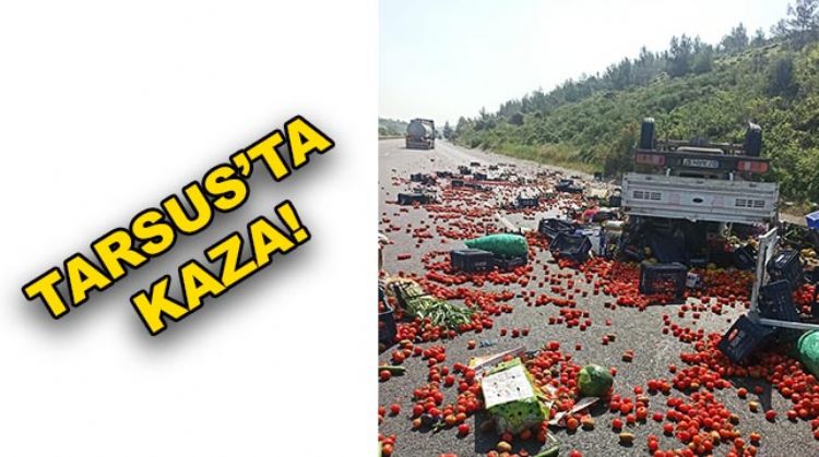 SEBZE YÜKLÜ KAMYON DEVRİLDİ