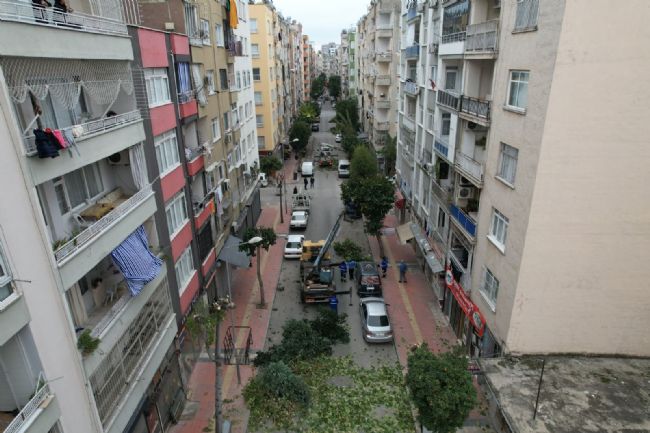 Mersin'de ağaçlara kış bakımı