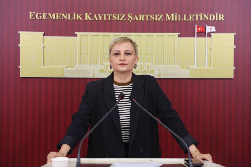 tbmm-basin-toplantisi:-dem-partİ-mersİn-mİlletvekİlİ-perİhan-koca,-yks-sonuçlarini-değerlendİrdİ