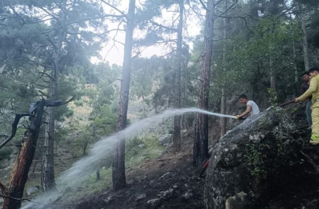 Tarsus'ta orman yangını kısa sürede söndürüldü