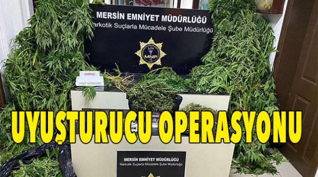 SADECE MAYIS AYINDA 43 TORBACI YAKALANDI