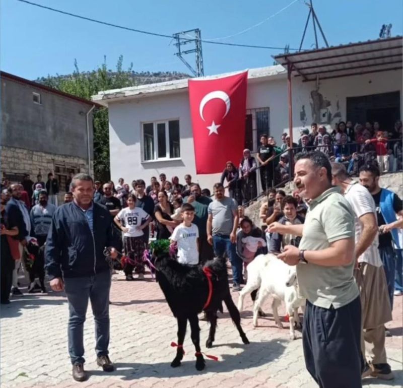 Mut'ta 'keçi güzellik yarışması' düzenlendi