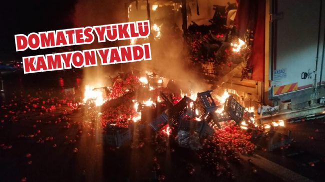 DOMATES YÜKLÜ KAMYON YANDI