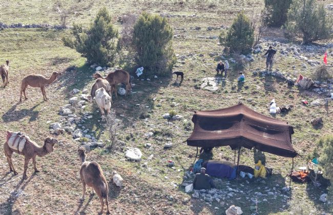 Toroslar'da Yörük göçü başladı: Sarıkeçililer yayla yolunda