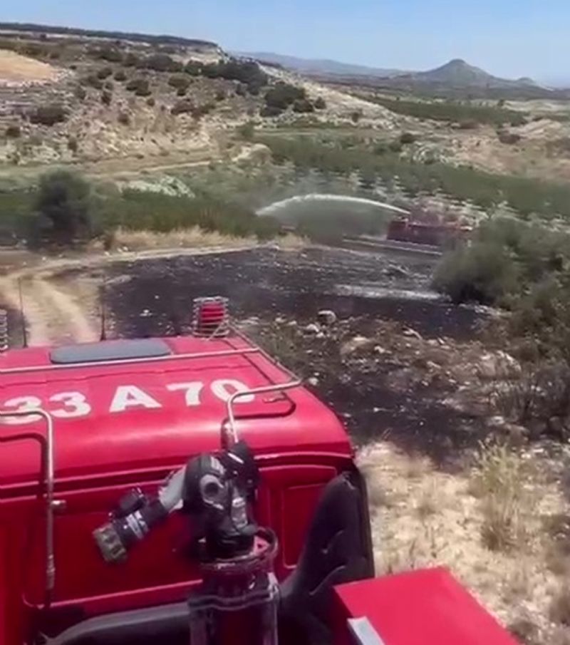 6 DEKAR BAHÇE YANGINDA ZARAR GÖRDÜ