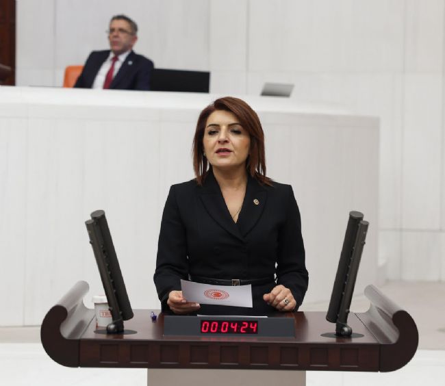 CHP’li Kış; “Mersin’in stratejik limanı yok sayıldı”