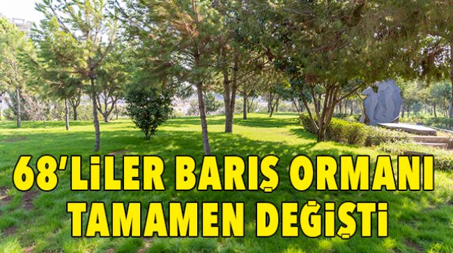 BÜYÜKŞEHİR 68’LİLER BARIŞ ORMANINI YENİLEDİ