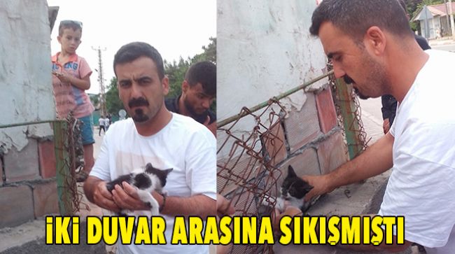 SIKIŞAN KEDİYİ KURTARDILAR