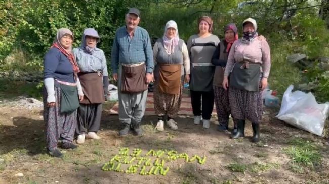 Tarım işçileri 23 Nisan'ı erik hasadı yaparken kutladılar