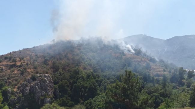Mersin'de orman yangınına, havadan ve karadan müdahale ediliyor
