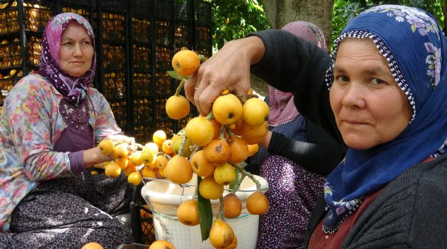 İHRACAT YOLUNDAKİ SON YENİDÜNYALAR YÜZ GÜLDÜRÜYOR