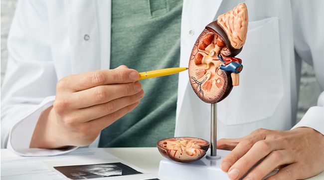 Böbrek taşına karşı ‘2 litre su’ kuralı!