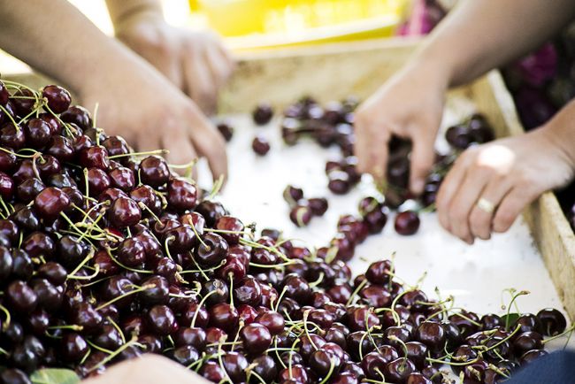 Türkiye, meyve üretiminde dünyada 4'üncü sırada