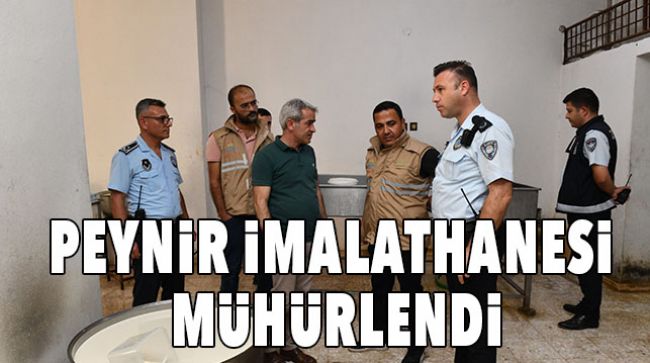 KÖTÜ KOKU ŞİKÂYETİ İLE GİDİLDİ, KAÇAK PEYNİR İMALATHANESİ ORTAYA ÇIKTI