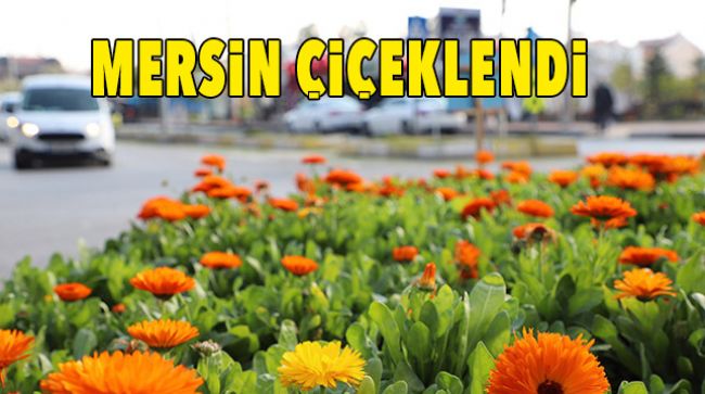 MERSİN HER GEÇEN GÜN DAHA DA GÜZELLEŞİYOR