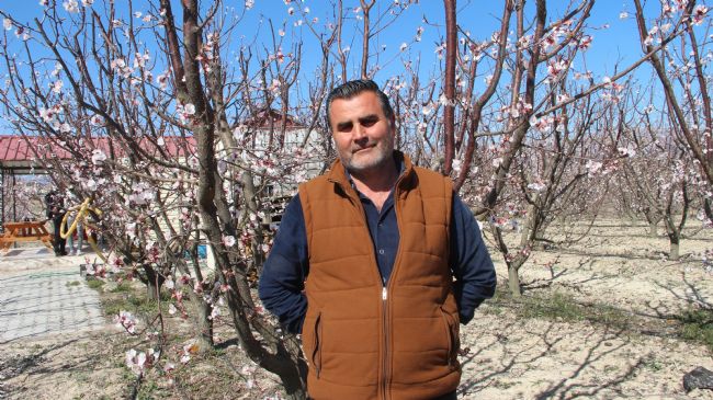 Sıcaklık Artınca Kayısı Bahçeleri Beyaz Gelinliğini Erken Giydi