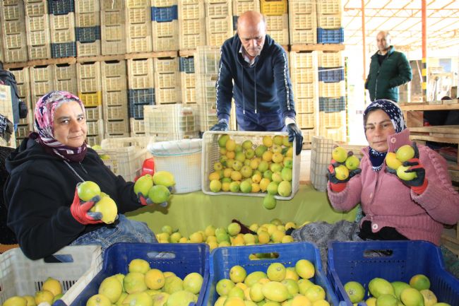 Hasattan paketlemeye her alanda kadınlar mesaide