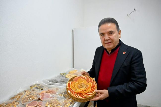 Başkan Böcek Kurutma Tesisini Gezdi