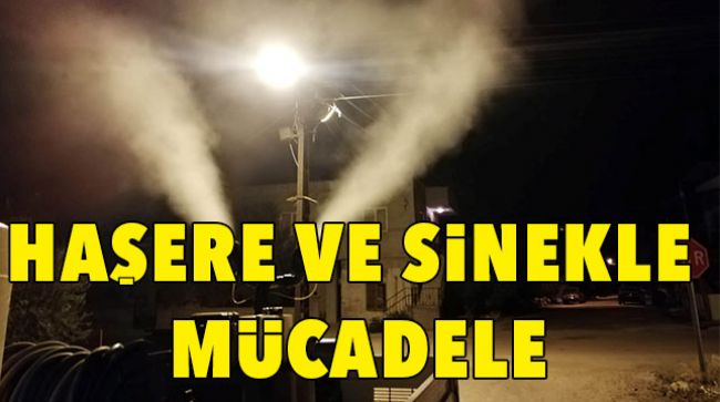 MUT’TA HAŞERE VE SİNEK MÜCADELESİ