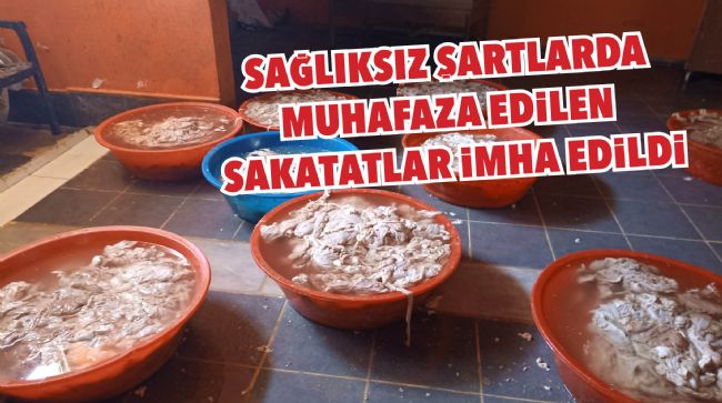 MERSİN'DE 310 KİLO SAKATAT ELE GEÇİRİLDİ