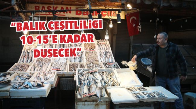 AV YASAĞINDAN ÖNCEKİ SON BALIKLAR TEZGAHLARDA