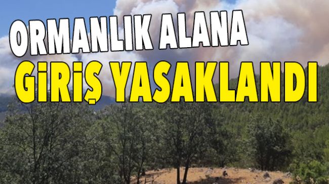ORMANLIK ALANA GİRİŞ 31 AGUSTOSA KADAR YASAK