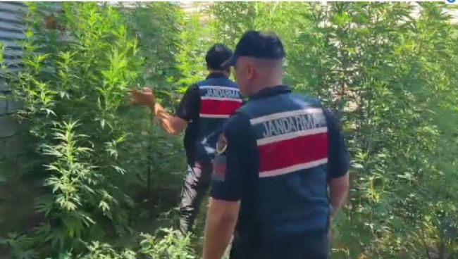 Mersin'in 5 ilçesinde uyuşturucu operasyonu: 8 gözaltı