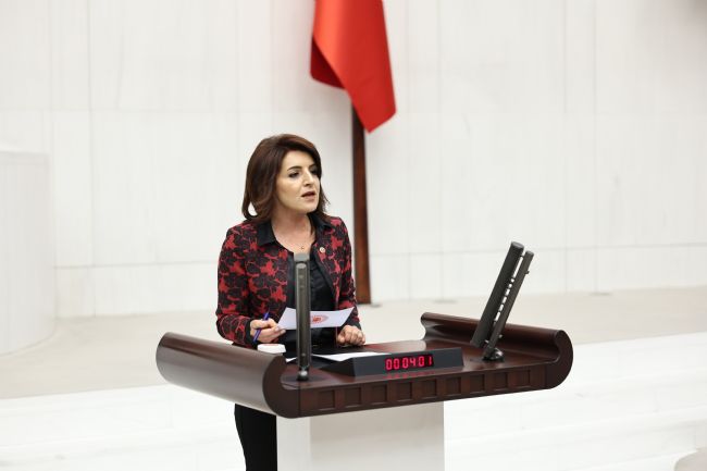 CHP’li Kış, Mersin milletvekillerini göreve çağırdı