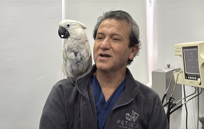 Dans Eden Papağan Viral Oldu!