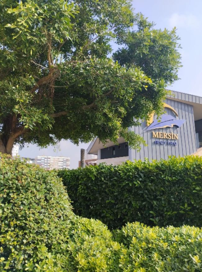 Mersin Marina, 2024 Sürdürülebilirlik Raporunu Paylaşıyor
