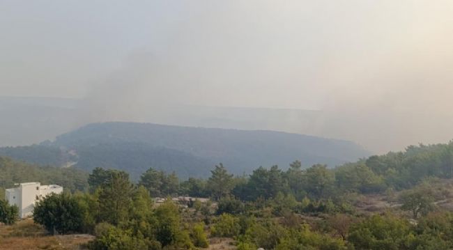 Silifke'deki orman yangını 2. gününde