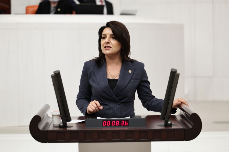 TÜRKİYE BÜYÜMEYİ UNUTTU CHP Mersin Milletvekili Gülcan Kış: