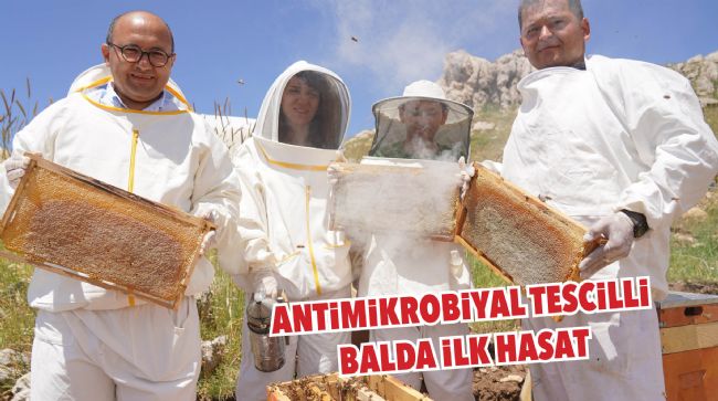 EĞRİÇAYIR YAYLASI’NDA BALDA İLK HASAT YAPILDI