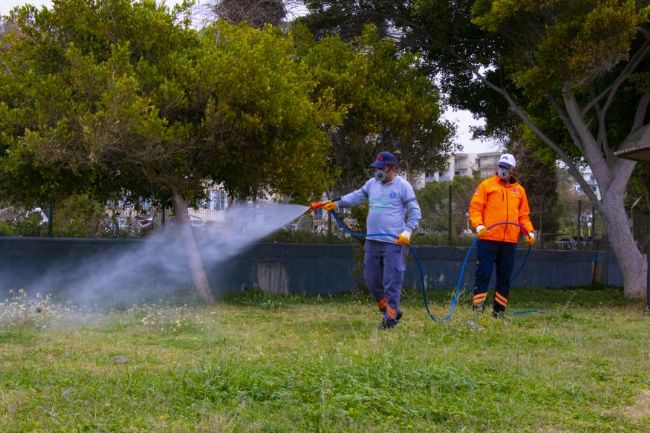 Mersin yaza Büyükşehir’le hazırlanıyor