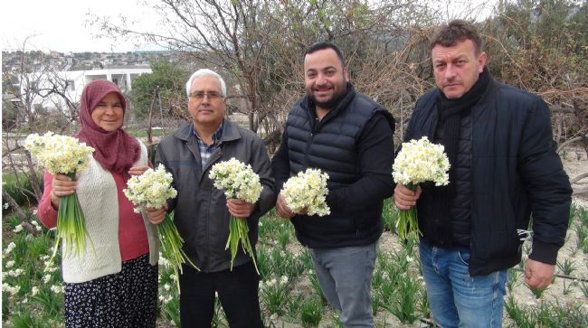  KIŞTA BAHARI YAŞATAN NERGİS ÇİÇEKLERİ 150 LİRADAN 50 LİRAYA DÜŞTÜ