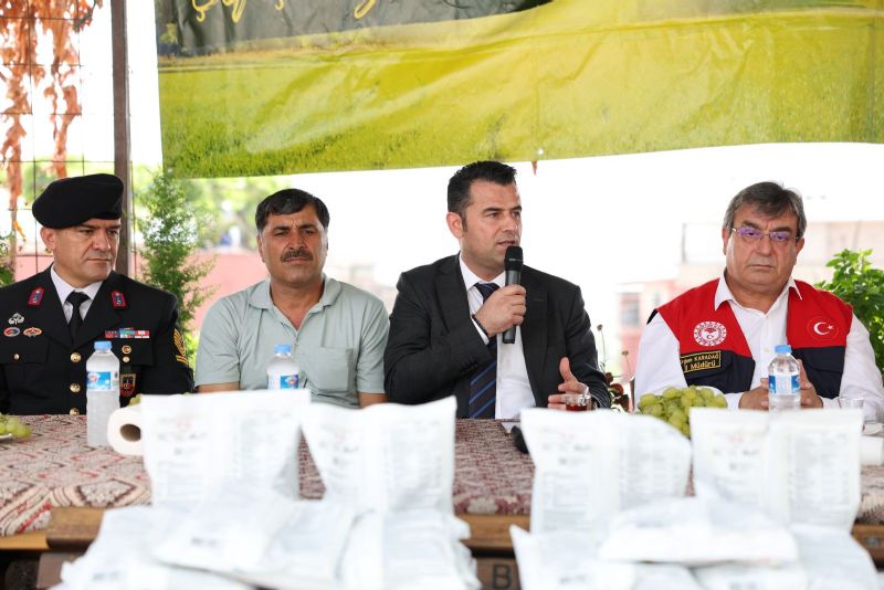 AKDENİZ’DE MEYVE SİNEĞİYLE MÜCADELE KARARLILIKLA SÜRDÜRÜLÜYOR