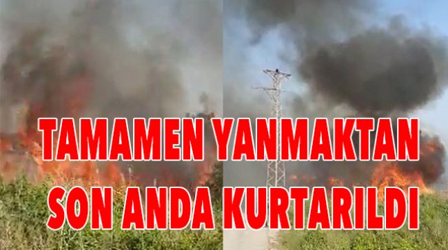 DİKKATİ MEYVE BAHÇESİNİ YANMAKTAN KURTARDI