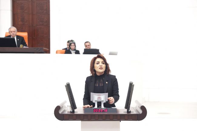 “Boş adreslere, metruk binalara seçmen yazılmış”