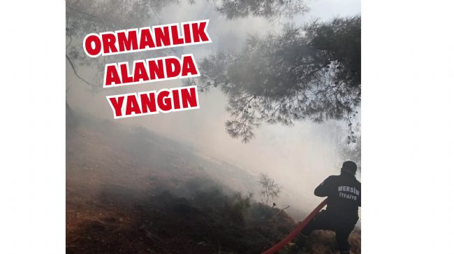 MERSİN’DE ORMAN YANGINI, KONTROL ALTINA ALINDI